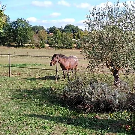 La Rolandie Haute
