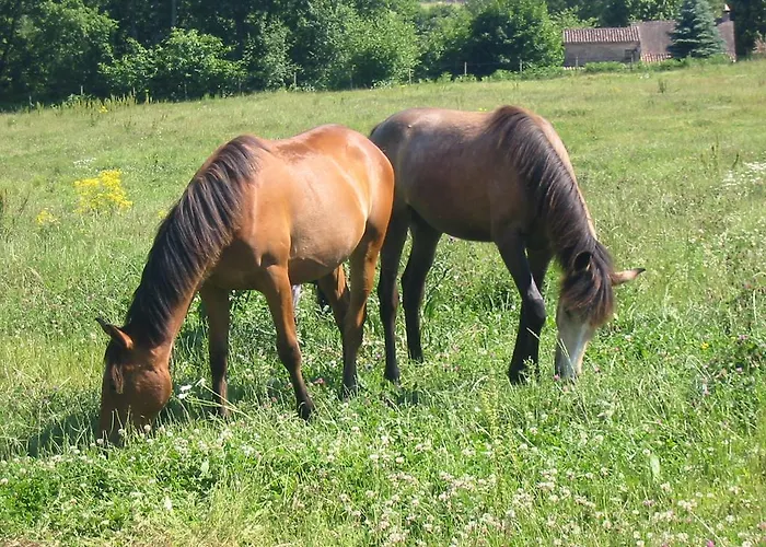 La Rolandie Haute 3* Limeuil